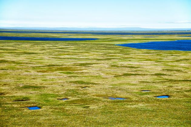 图中是雅库特北极冻土带，雅库特位于西伯利亚的东北角，那里冻土层覆盖着猛犸时期的土壤。最新研究表明，北极地区快速消融，将释放掩埋在永久冻土层中的大量远古碳物质，从而加速气候变化