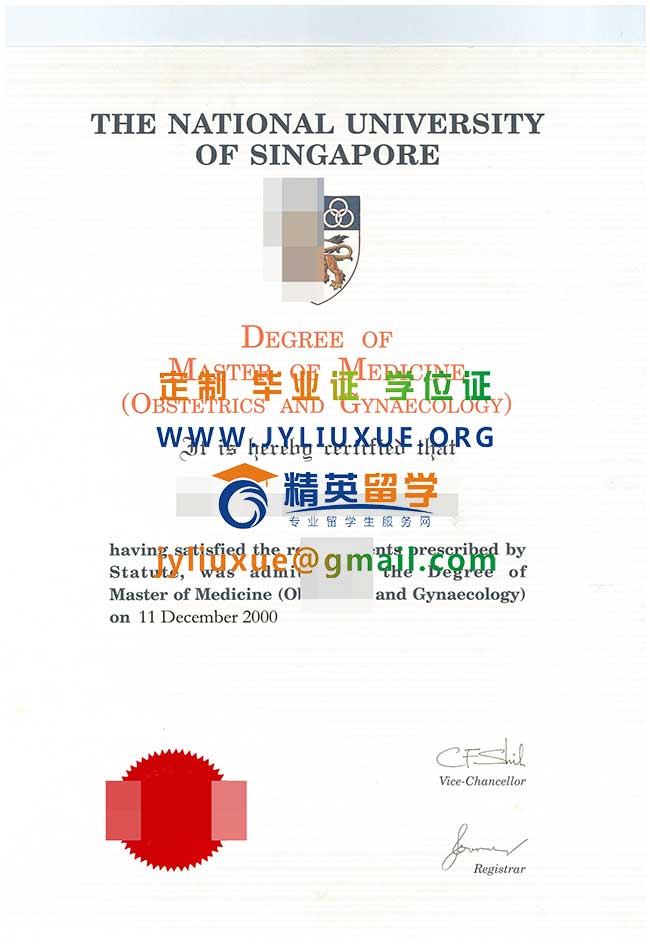 新加坡国立大学硕士毕业证样本